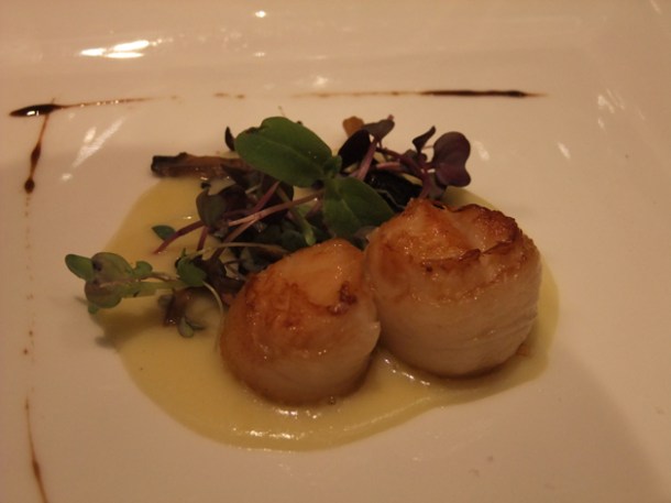 scallops in leek potato cream at Babbo London scallops in leek potato cream at babbo london
