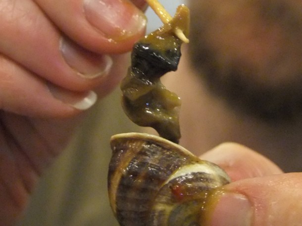 snails at Los Caracoles snails at los caracoles