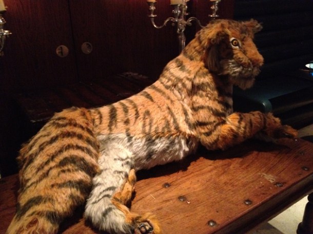 stuffed tiger at Carom stuffed tiger at carom