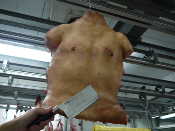 'human' torso from Wesker and Son 'human' torso from wesker & son