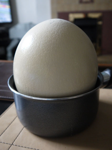 ostrich-egg-in-a-saucepan ostrich-egg-in-a-saucepan