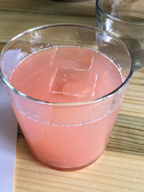 rhubarb soda at rawduck