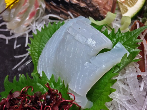 squid sashimi at hotel nakanoshima wakayama