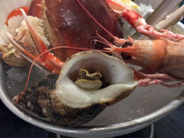 whelk at rick stein barnes
