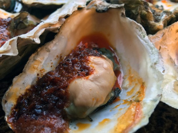 link oysters at plaquemine lock