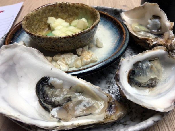 oysters at magpie