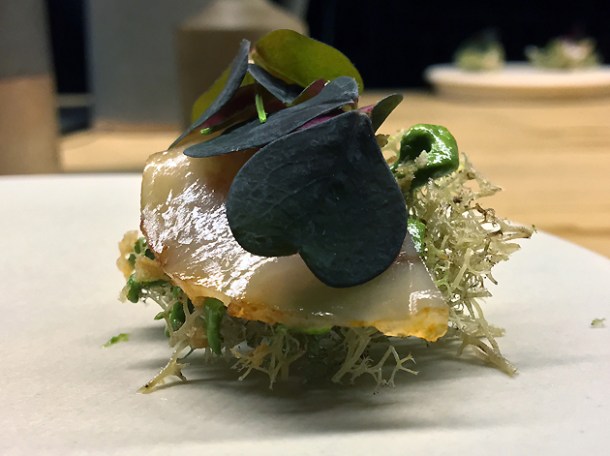 lardo, chicken skin and sorrel at mãos
